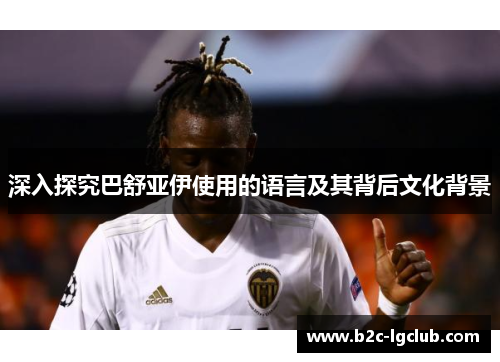 深入探究巴舒亚伊使用的语言及其背后文化背景