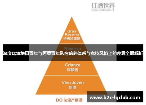 深度比较埃因青年与阿贾青年队在培养体系与竞技风格上的差异全面解析