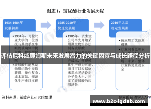 评估尼科威廉姆斯未来发展潜力的关键因素与成长路径分析