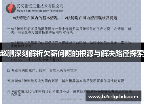 赵鹏深刻解析欠薪问题的根源与解决路径探索