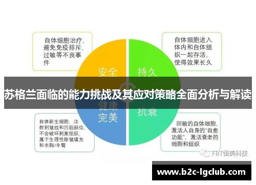 苏格兰面临的能力挑战及其应对策略全面分析与解读